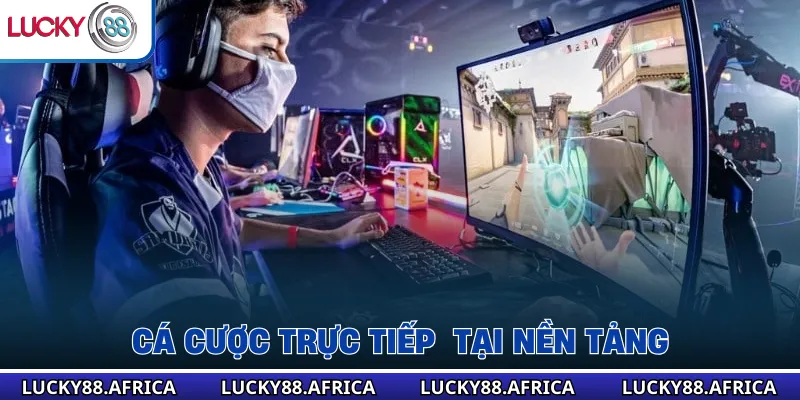 Cá cược trực tiếp  tại nền tảng